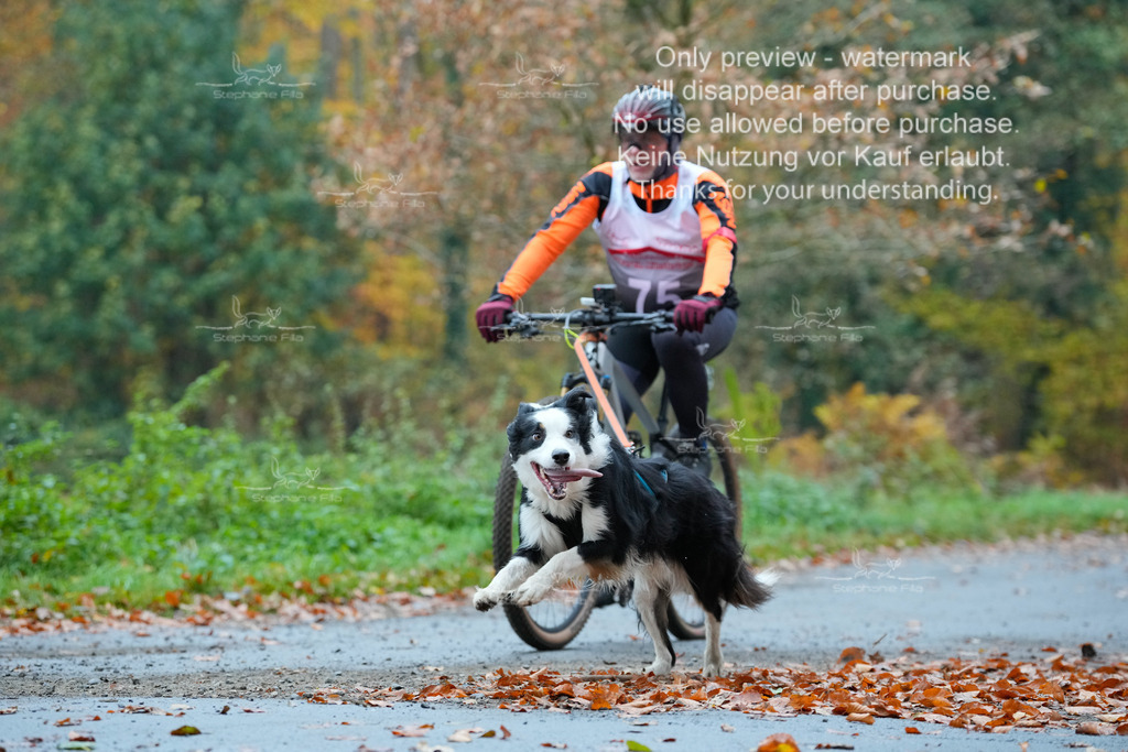 Bike_So-68 | stephaniefillaphotographie - Realisiert mit Pictrs.com