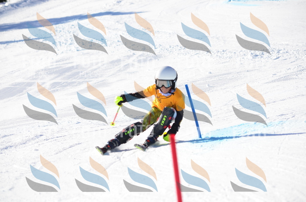 C6233 | holidayphoto