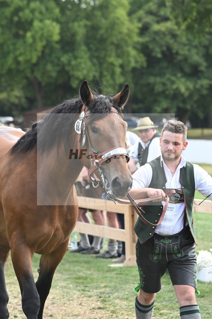 Kat-Nr. 68 Premisse_Gasteiger_20231111 | hf-fotografie - Realisiert mit Pictrs.com
