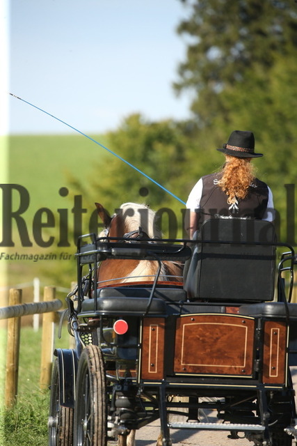 Leistungsprüfung_Sankt Märgen_2022_KN_06_Lissy (15) | Alle Fotos der Reiterjournal Fotografin Doris Matthaes im Reiterjournal Online-Fotoshop. - Realisiert mit Pictrs.com