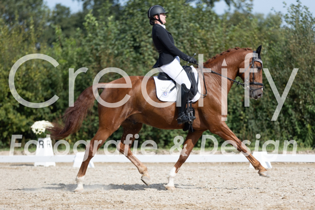 IMG_3963 | Creatify Fotografie