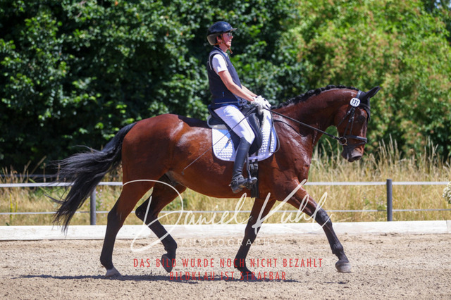 DKP46282 | Turniersportfotografie; Pferdefotografie; Dressurfotografie