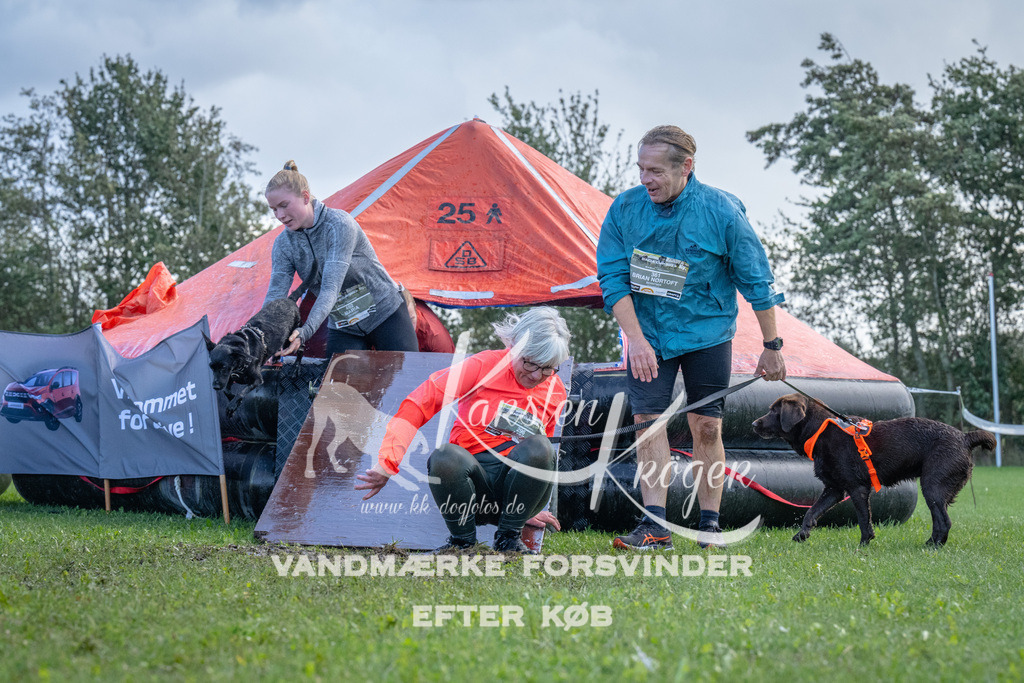 1256-90258 | kk-dogfotos