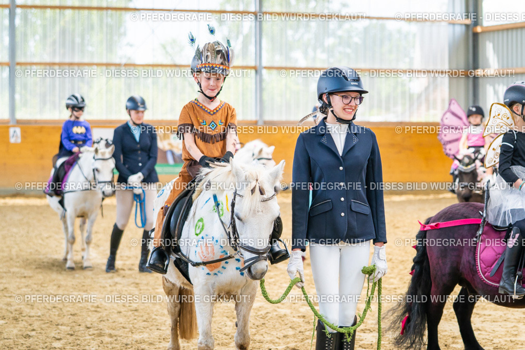 DSC00252 | Pferdegrafie