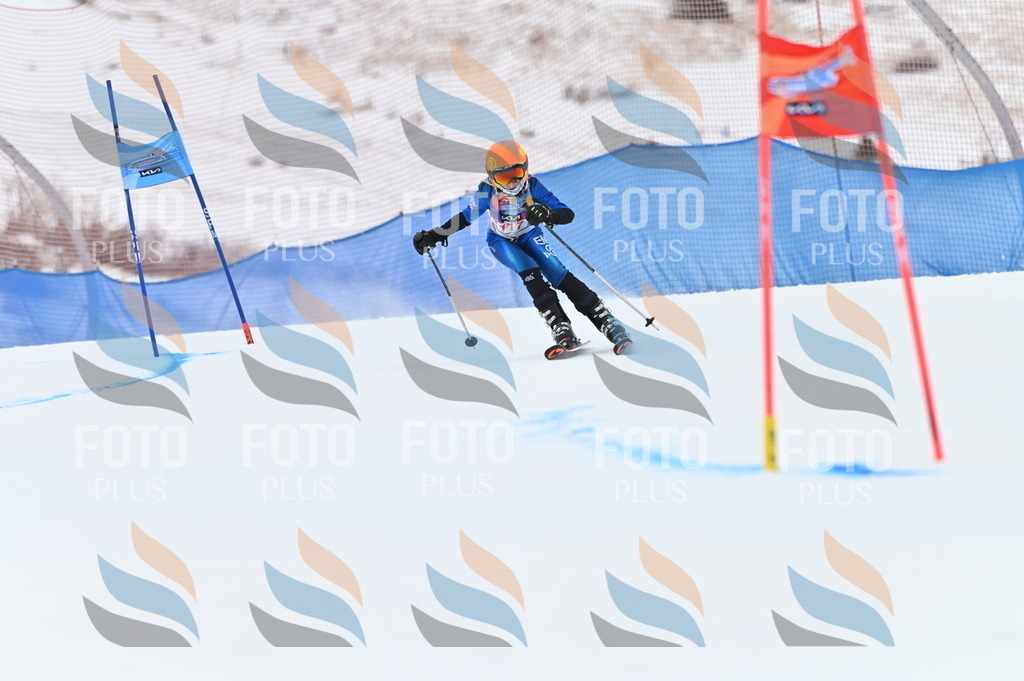 BGV_9695 | holidayphoto