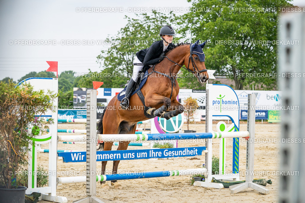 DSC09638 | Pferdegrafie