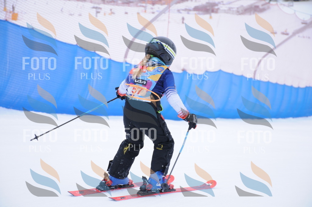 DSC_7975 | holidayphoto