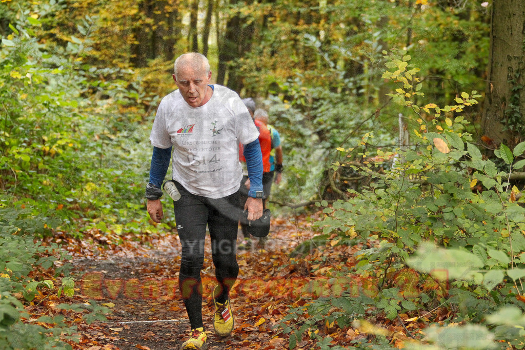 251026_1248_EV4_5858 | Sportfotografie im Rhein-Sieg Kreis, Köln, Bonn, NRW, Rheinland Pfalz, Hessen, etc. Unser Tätigkeitsfeld umfasst den Laufsport vom Volkslauf über den Marathon, Duathlon, Triathon bis zum Ultralauf wie Kölnpfad Ultra oder Schindertrail.