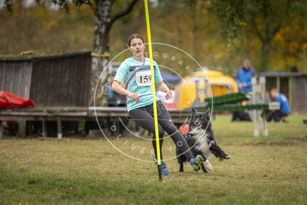 Pfotenfotografie_DV3A4887 | Hundefotografie, Tierfotograf, Pfotenfotografie, Fotoshooting Hund, Hunde Portrait, Hundesport, Hundeportraits, Heideshooting, Hunde, Sportfotograf, Hundefotograf, Turnierhundsport, THS,  - Realisiert mit Pictrs.com