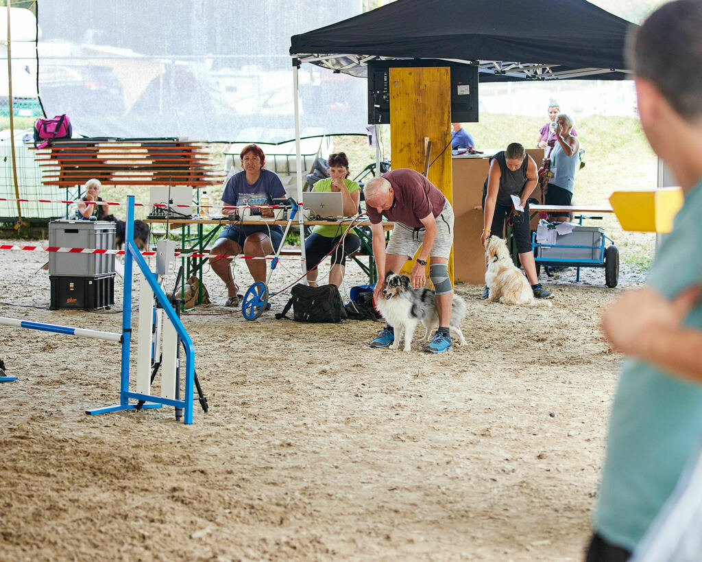 580A0244 | Peter Fridle Fotografie - Realisiert mit Pictrs.com