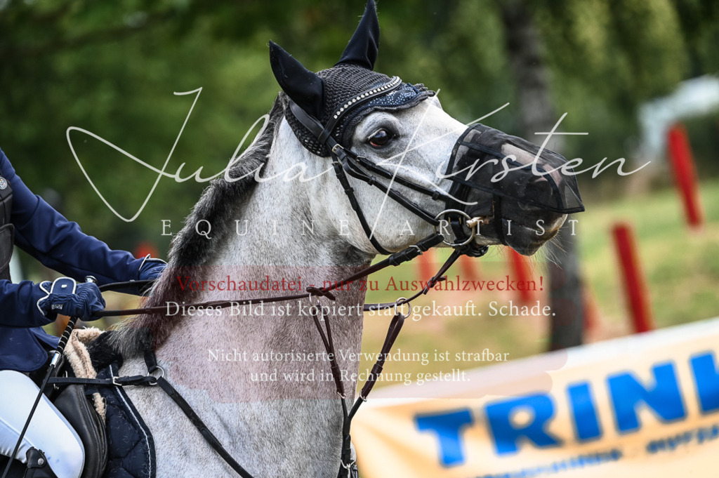 DSC_8135 | Pferde- und Turnierfotografie in Westsachsen. Pferdeportraits, Auftragszeichnungen und intuitive Kunst.