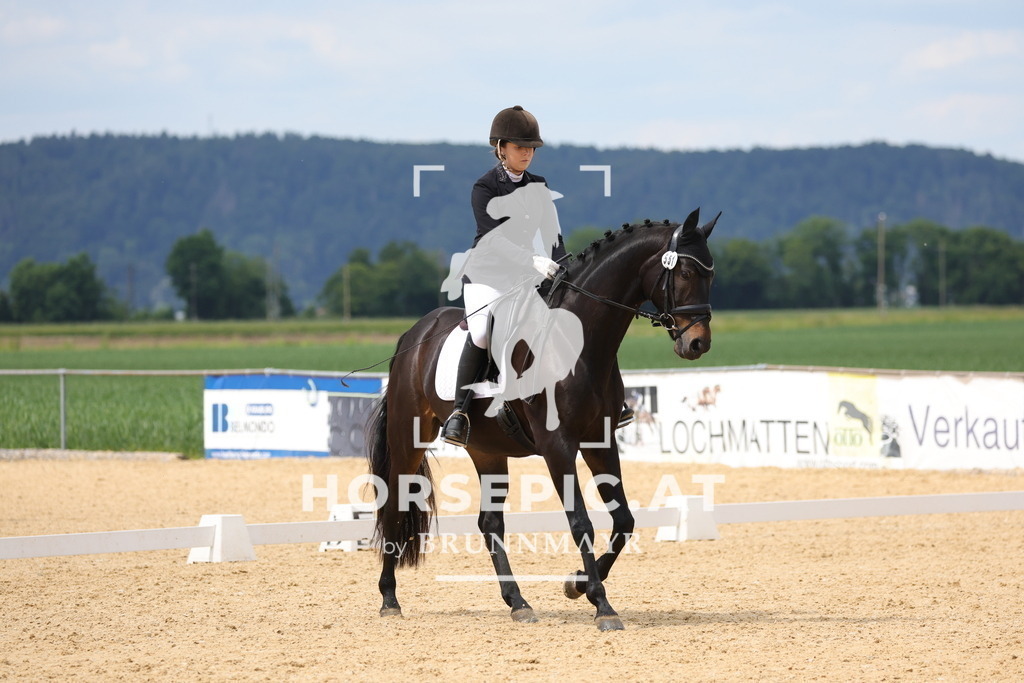 0P6A8564 | Willkommen bei Brunnmayr - Design & Fotografie – Ihrem Spezialisten für Reitturniere und Pferdeveranstaltungen in Oberösterreich, Salzburg und Bayern! Seit über 17 Jahren sind wir leidenschaftlich dabei.