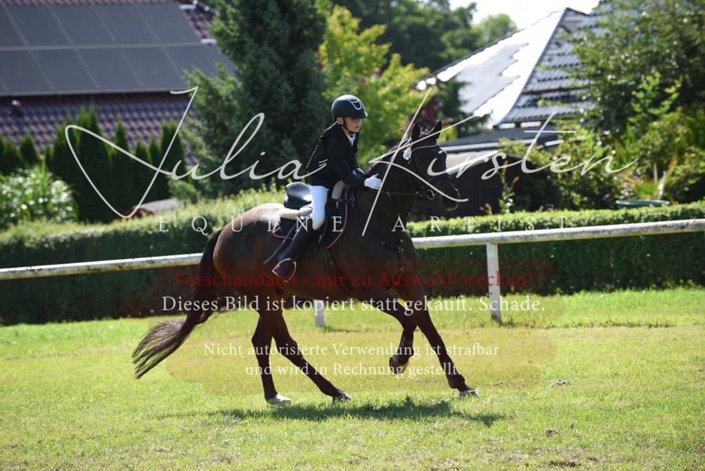 DSC_9381 | Pferde- und Turnierfotografie in Westsachsen. Pferdeportraits, Auftragszeichnungen und intuitive Kunst.