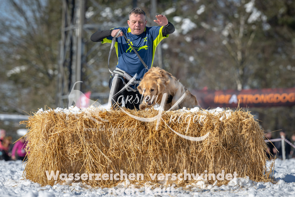 1114_ZZ90795-3 | kk-dogfotos