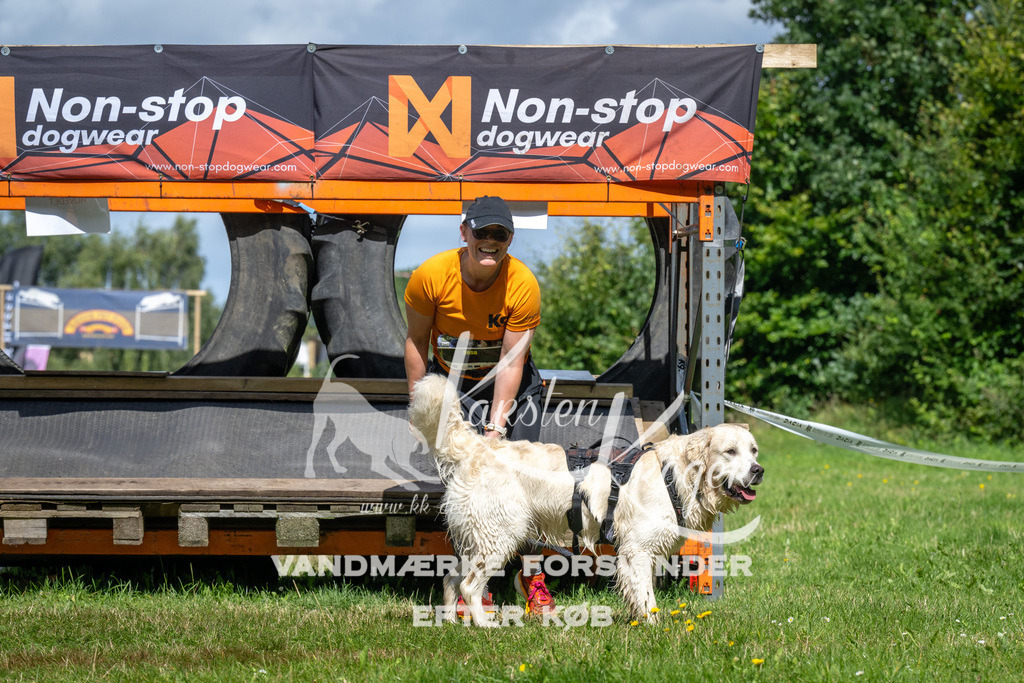 1253_ZZ94378 | kk-dogfotos