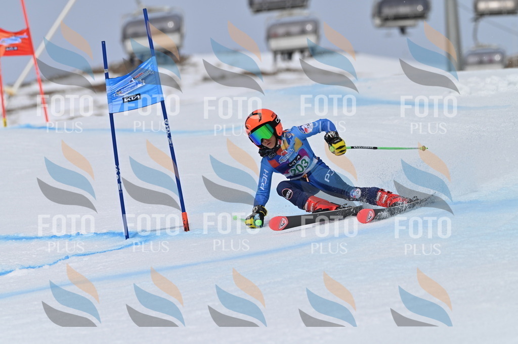 BGV_3915 | holidayphoto