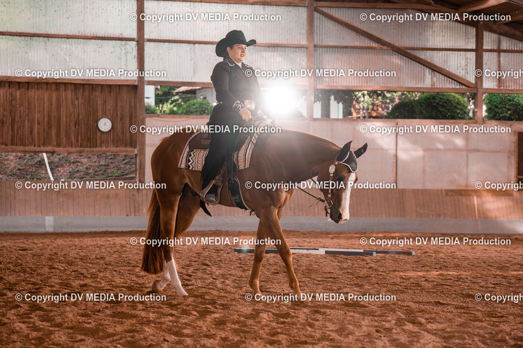 NE200152 | dv-media-shop - Realisiert mit Pictrs.com