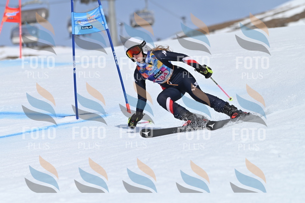 BGV_0694 | holidayphoto