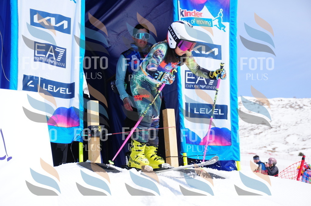 DSC_1233 | holidayphoto