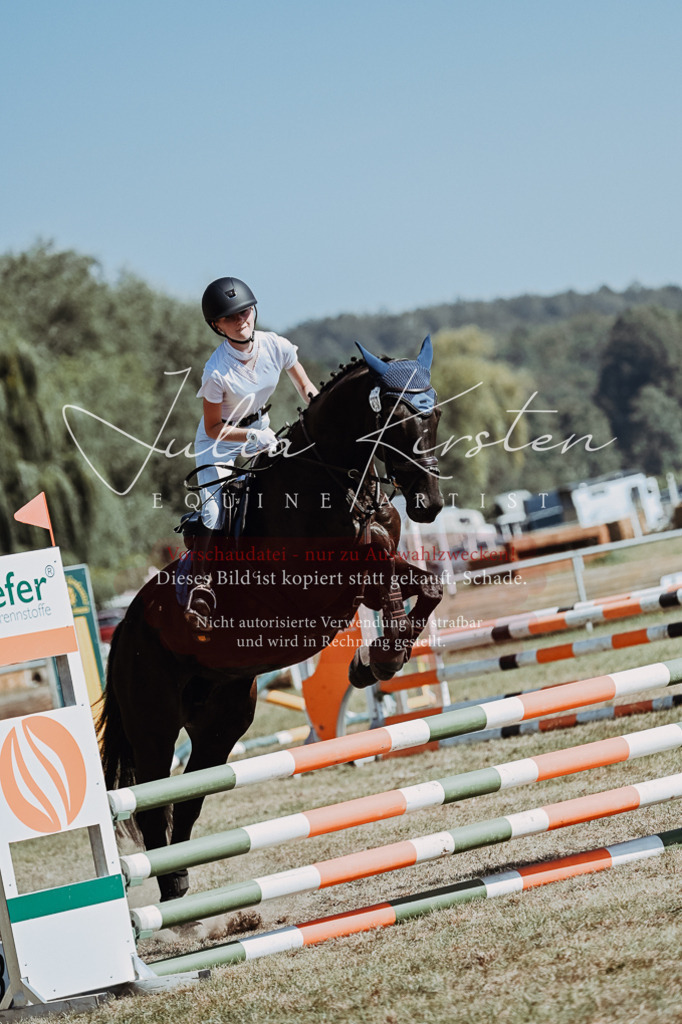 DSC_9658 | Pferde- und Turnierfotografie in Westsachsen. Pferdeportraits, Auftragszeichnungen und intuitive Kunst.