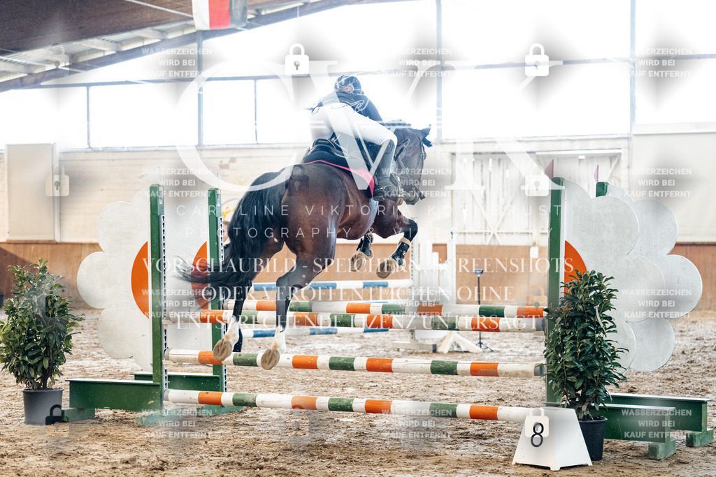 CK904547 | Turnierfotografie Pferdefotografie Trier Rheinland-Pfalz Pferdesport Reitsport Tierfotografie Sportfotografie Pferdevideo Pferdevideografie Equestrianvideography equestrianphotography  - Realisiert mit Pictrs.com