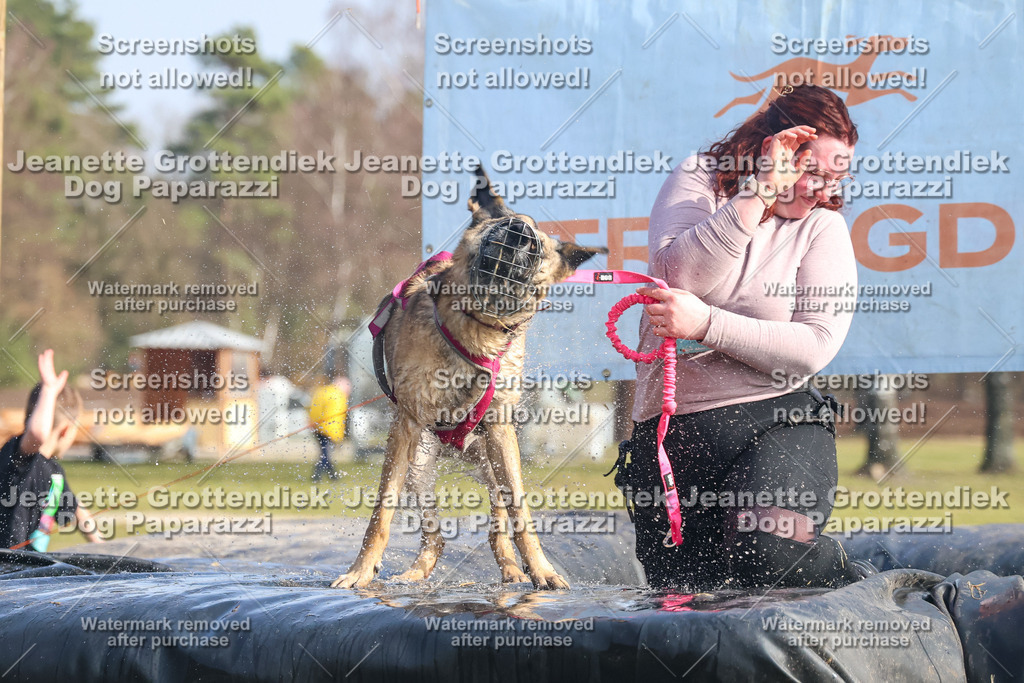 Dog Paparazzi - Strongdog North Mrz26-2055 | Dog Paparazzi Jeanette Grottendiek Fotografie & Videografie - Realisiert mit Pictrs.com