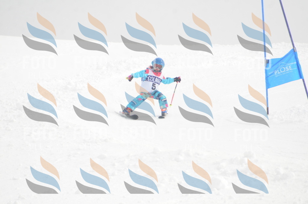 A5018 | holidayphoto