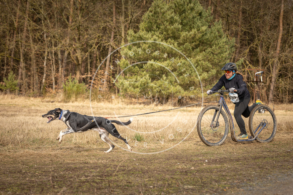 DV3A4747 | Hundefotografie, Tierfotograf, Pfotenfotografie, Fotoshooting Hund, Hunde Portrait, Hundesport, Hundeportraits, Heideshooting, Hunde, Sportfotograf, Hundefotograf, Turnierhundsport, THS,  - Realisiert mit Pictrs.com