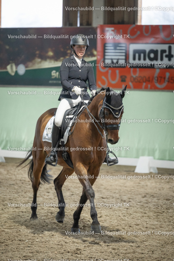 _D5A3567 | Emotionale Pferde- & People-Fotografie rund um Heidelberg, Leimen & Umgebung. Natürliche Fotos von Pferd, Mensch & Familie. Jetzt Termin sichern!