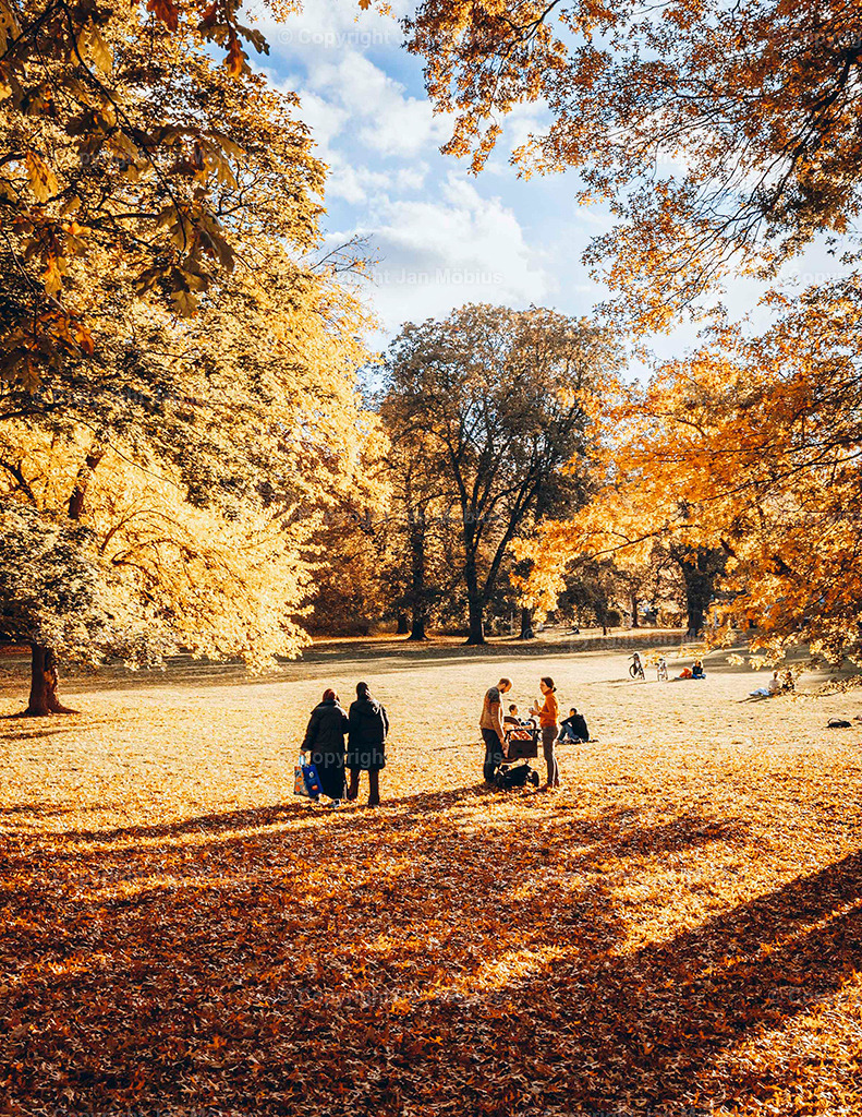 Clara Park | Der Clara-Zetkin-Park in Leipzig ist ein beliebter Ort für Natur, Sport und Erholung – perfekt für Spaziergänge, Jogging und entspannte Stunden im Grünen. - Realisiert mit Pictrs.com