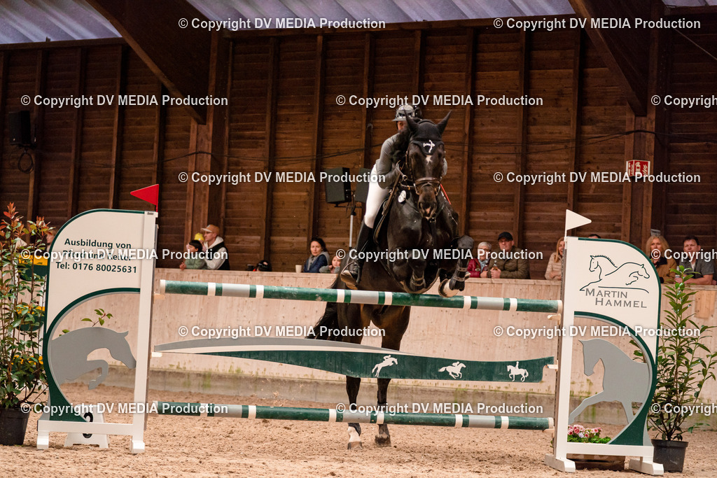 Springen Tag 3-327 | dv-media-shop - Realisiert mit Pictrs.com