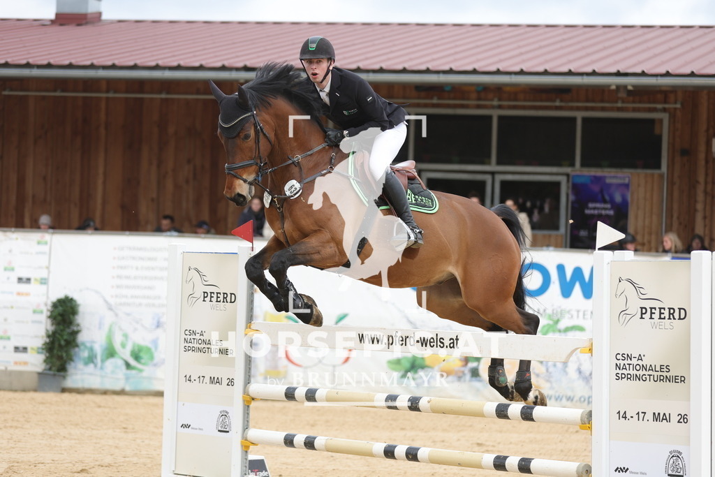0P6A3172 | Willkommen bei Brunnmayr - Design & Fotografie – Ihrem Spezialisten für Reitturniere und Pferdeveranstaltungen in Oberösterreich, Salzburg und Bayern! Seit über 17 Jahren sind wir leidenschaftlich dabei.