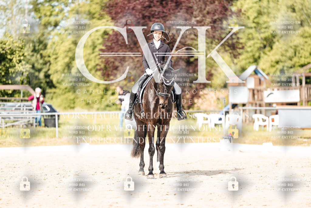 CK900284 | Turnierfotografie Pferdefotografie Trier Rheinland-Pfalz Pferdesport Reitsport Tierfotografie Sportfotografie Pferdevideo Pferdevideografie Equestrianvideography equestrianphotography  - Realisiert mit Pictrs.com