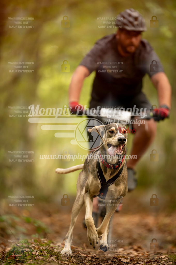 TSB_2023_E1_Bike-16 | PayLife