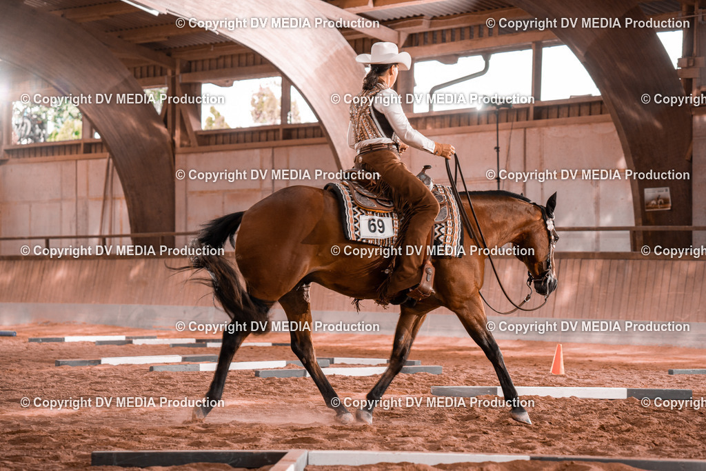 NE300189 | dv-media-shop - Realisiert mit Pictrs.com