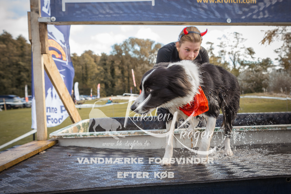 1325_ZZ90866-2 | kk-dogfotos