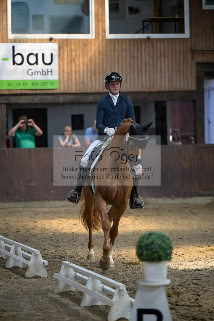 Reitturnier Voxtrup | Entdecke hochwertige Reitturnierfotos von Foto Oger. Professionell, emotional und authentisch – jetzt Lieblingsmomente im Shop bestellen.Deutschlandweite Turnierfotografie. - Realisiert mit Pictrs.com