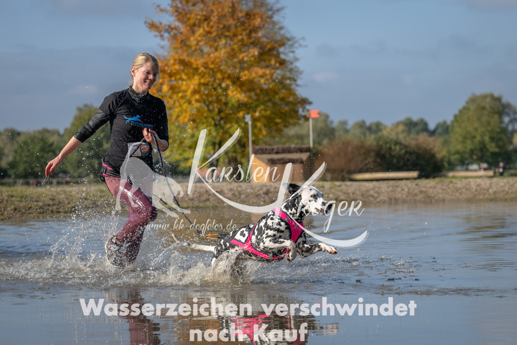 1117_ZZ92148 | kk-dogfotos