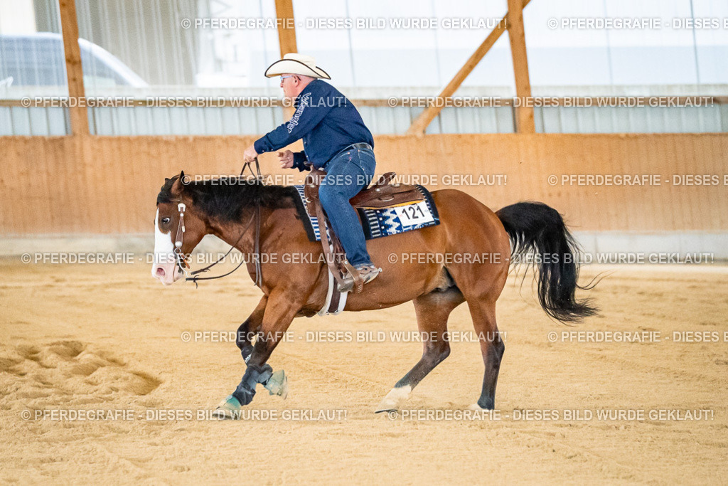 DSC08616 | Pferdegrafie