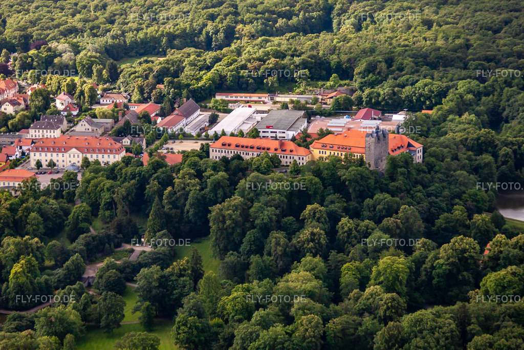 Schloss und Schlosspark mit Schlossteich Ballenstedt von Norden https://www.ballenstedt.de | Luftbild: Schloss und Schlosspark mit Schlossteich Ballenstedt von Norden https://www.ballenstedt.de in Ballenstedt im Bundesland Sachsen-Anhalt in Deutschland. Foto: IMG_58453.jpg vom 30.06.2013 durch Werner Riehm/FLY-FOTO.de - Realisiert mit Pictrs.com
