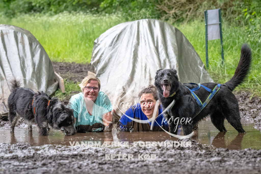 1627_ZZ94015-Bearbeitet | kk-dogfotos
