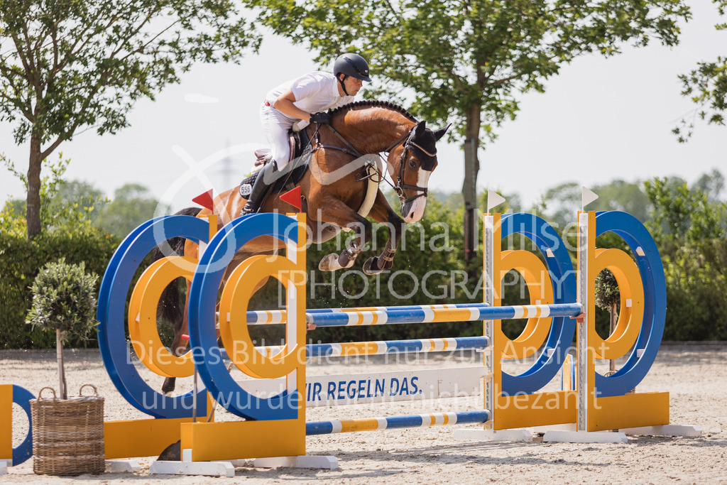 230616_Lemwerder_Springpf-L2-699 | Deine schönsten Turniermomente als professionelle Fotos! Entdecke hochwertige Pferdesport-Fotografie im Online-Shop. Jetzt Fotos finden & bestellen!