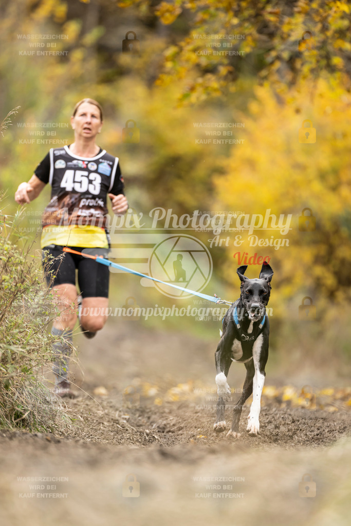MompixPhotography_ICF_WC_2024_SA_Run_-470 | PayLife