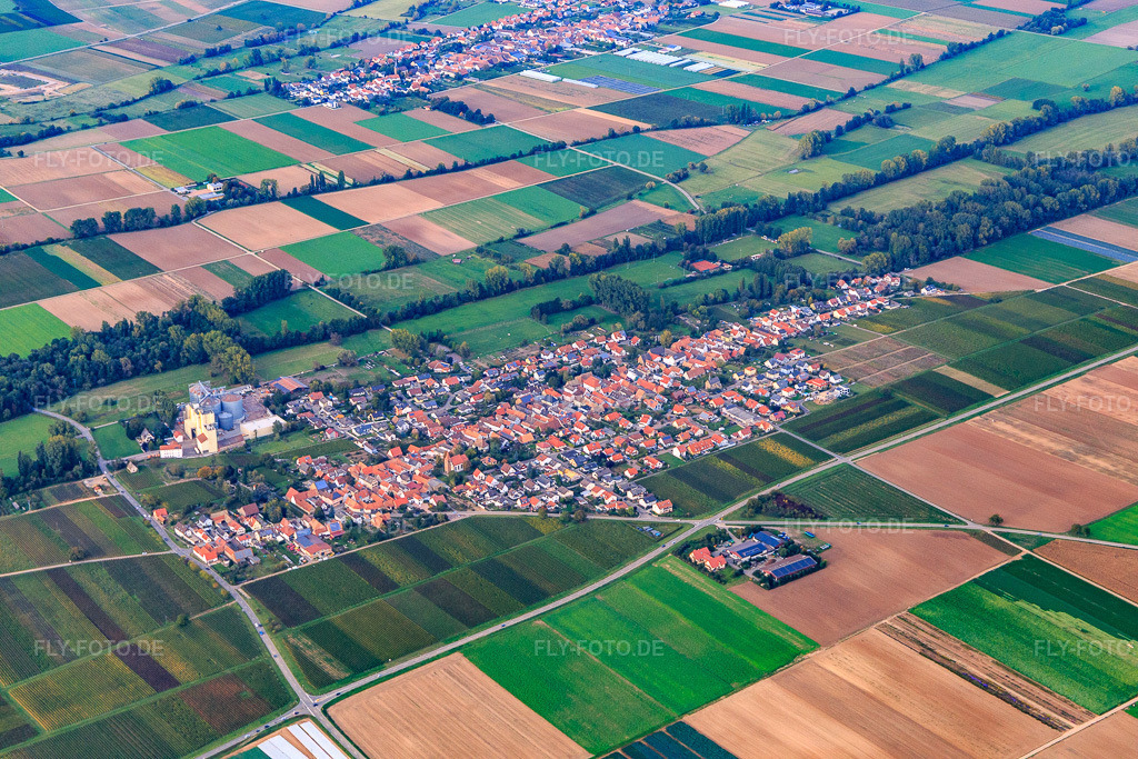 Luftbild: Ortsansicht von Südwesten in Freimersheim im Bundesland Rheinland-Pfalz in Deutschland. Foto: IMG_103847.jpg vom 01.10.2017 durch Werner Riehm/FLY-FOTO.de