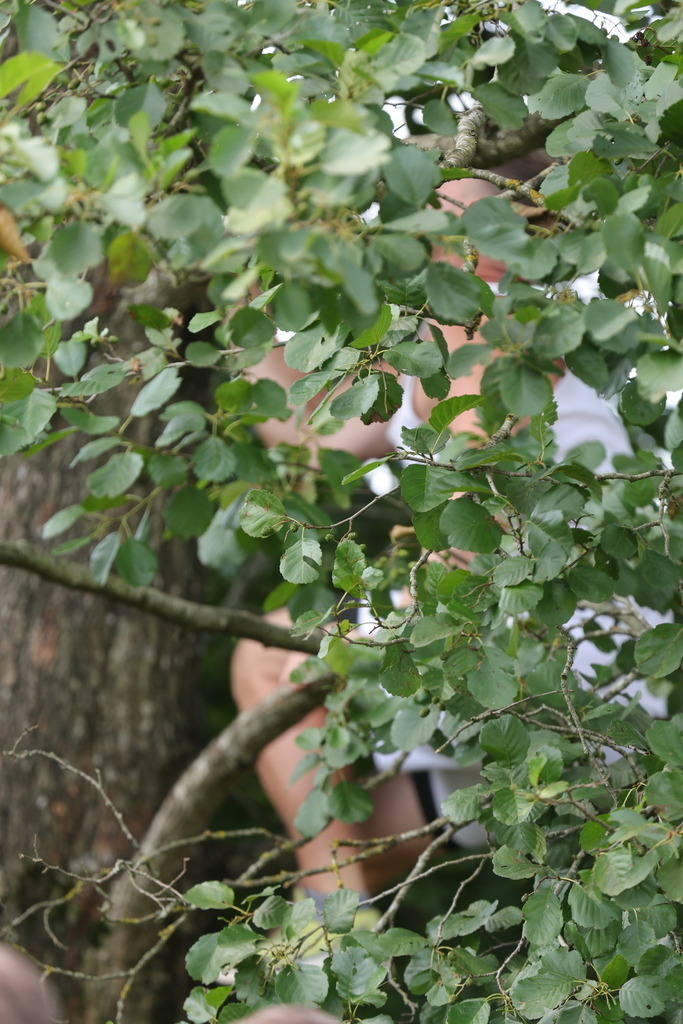 0P6A8362 | Willkommen bei Brunnmayr - Design & Fotografie – Ihrem Spezialisten für Reitturniere und Pferdeveranstaltungen in Oberösterreich, Salzburg und Bayern! Seit über 17 Jahren sind wir leidenschaftlich dabei.