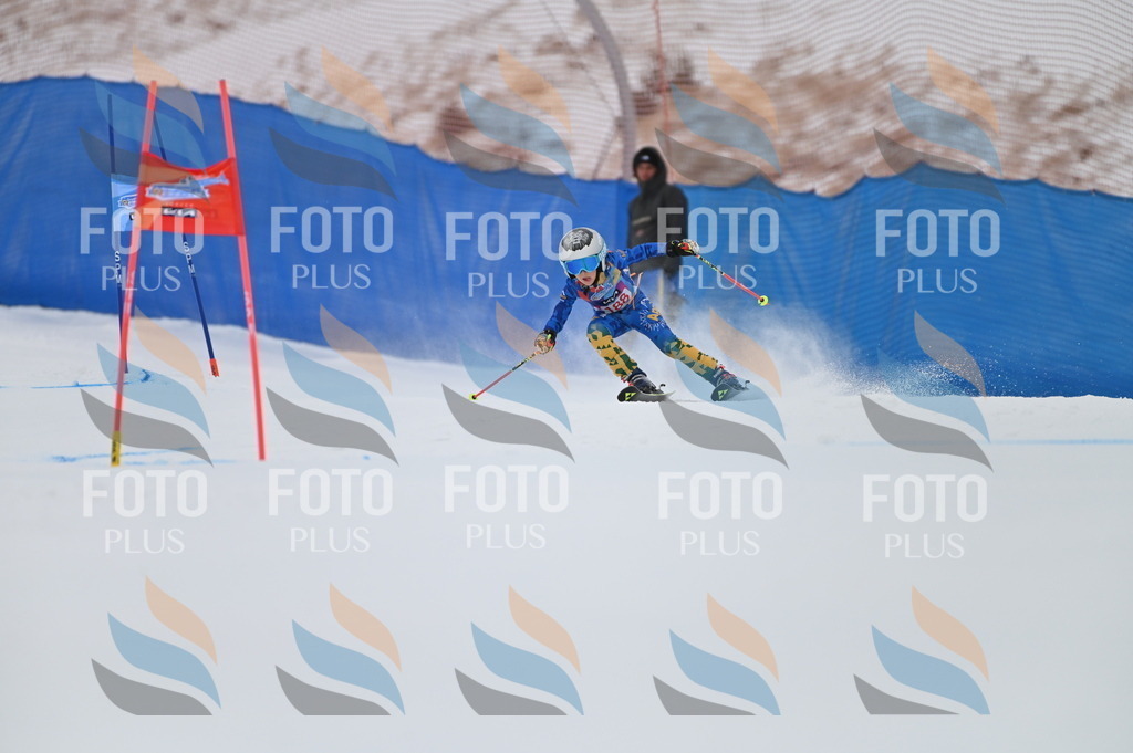 BGV_1301 | holidayphoto