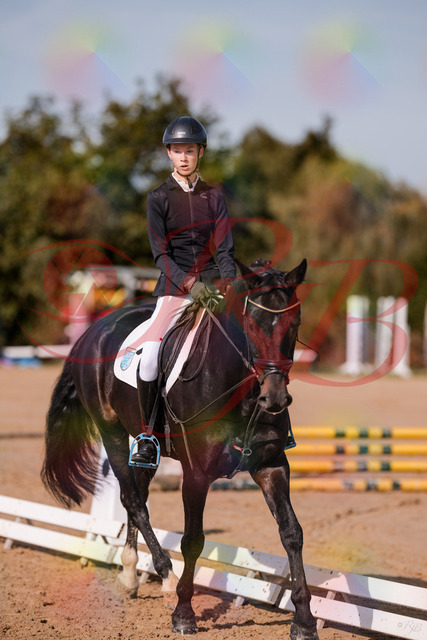 2026_10_03_Siefer-Hof_115507_Z81_95521694 | Professionelle Reitsport-, Turnier- und Eventfotografie von Robert Broda. Galerien mit ausgewählten und bearbeiteten Bildern direkt online ansehen und bestellen.