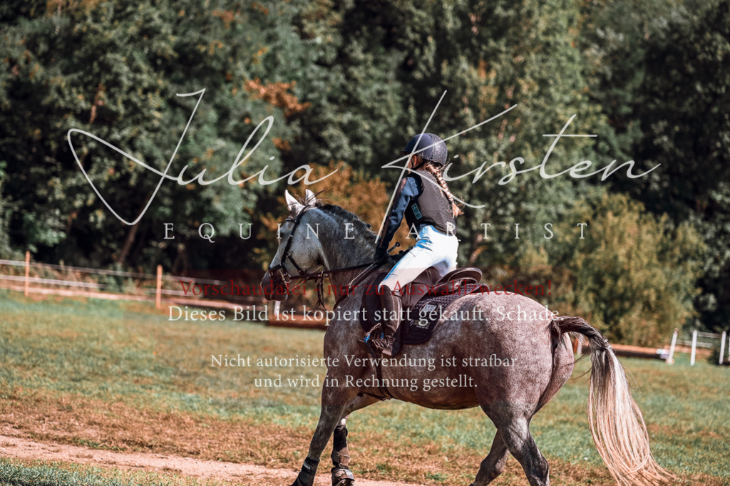 DSC_1153 | Pferde- und Turnierfotografie in Westsachsen. Pferdeportraits, Auftragszeichnungen und intuitive Kunst.