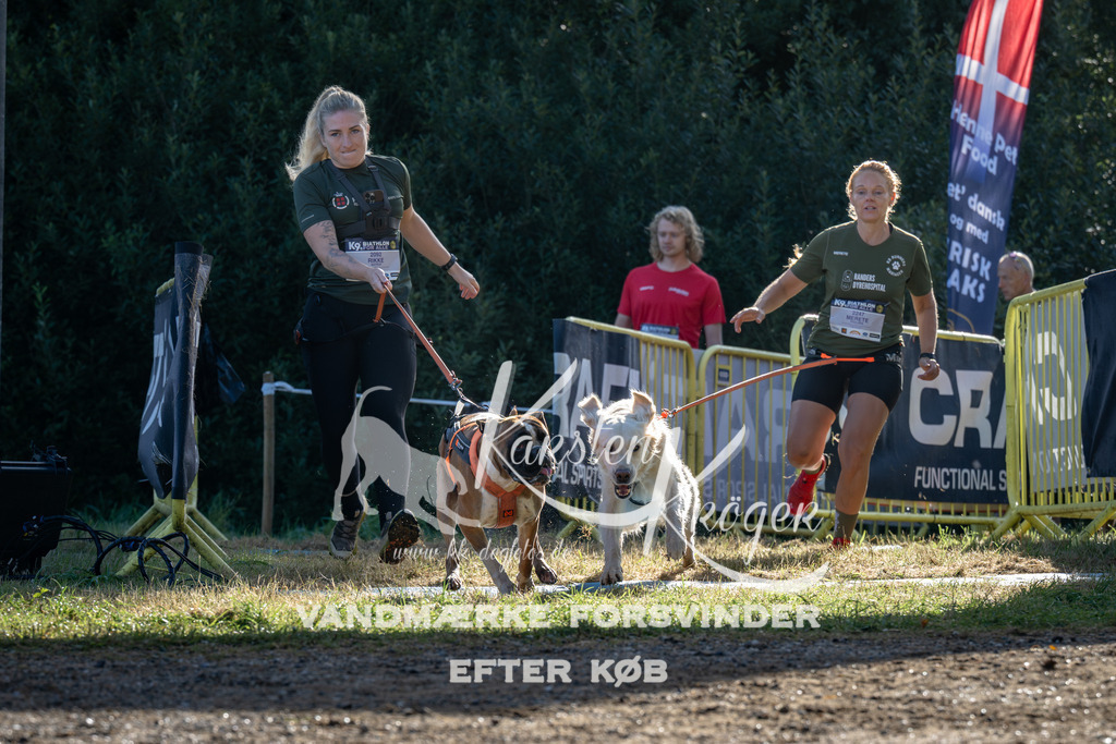 0903_ZZ93889 | kk-dogfotos