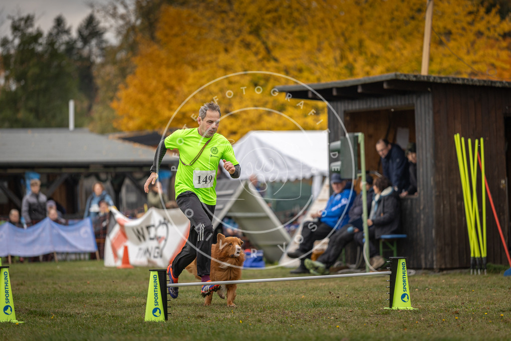 Pfotenfotografie_DV3A6080 | Hundefotografie, Tierfotograf, Pfotenfotografie, Fotoshooting Hund, Hunde Portrait, Hundesport, Hundeportraits, Heideshooting, Hunde, Sportfotograf, Hundefotograf, Turnierhundsport, THS,  - Realisiert mit Pictrs.com